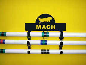 MACH bar holder with multiple bars